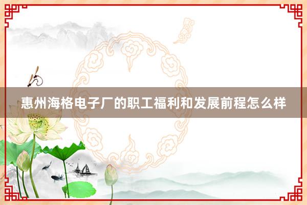 惠州海格电子厂的职工福利和发展前程怎么样